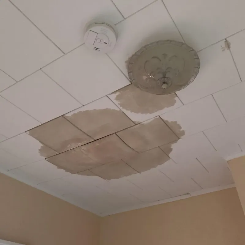 Ceiling Water Damage Repair in Pequot Lakes, MN
