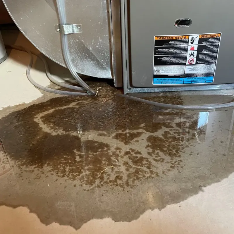Pipe Burst and Leak Restoration in Pequot Lakes, MN