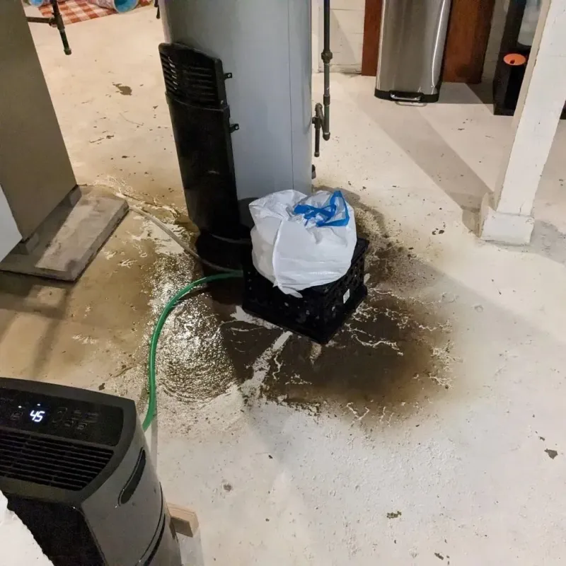 Sewage Backup Cleanup Service in Pequot Lakes, MN